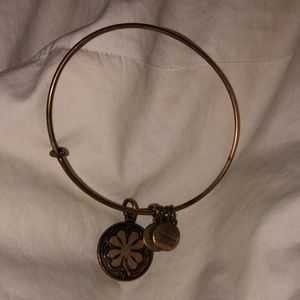 Alex and Ani